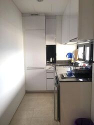 Robinson Suites (D1), Apartment #509689921